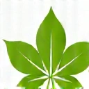 Ikona liścia symbolizująca naturalne składniki.